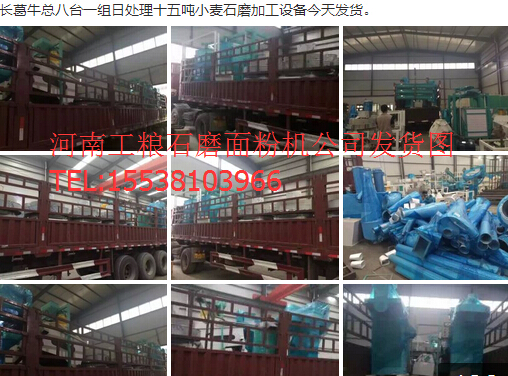 長(zhǎng)葛牛總八臺(tái)一組日處理十五噸小麥?zhǔn)ゼ庸っ娣蹤C(jī)設(shè)備今天發(fā)貨